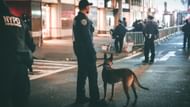 Police faked Ramon Sosa's murder (Image via Unsplash/@Jusdevoyage)